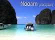 One Day Trip เกาะพีพี อ่าวมาหยา เกาะไข่ เกาะลิง ถ้ำไวกิ้ง ภูเก็ต