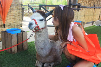 รีวิว อัลปาก้าฮิลล์ (Alpaca Hill) สวนผึ้ง ชมสัตว์หายากหลายชนิด ชมอัลปาก้าอย่างใกล้ชิด และผองเพื่อนสัตว์น่ารัก