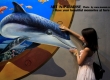 Art in paradise พิพิธภัณฑ์ภาพวาด 3 มิติ ศิลปะที่จับต้องได้ที่ พัทยา