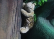 เที่ยวพิพิธภัณฑ์ตุ๊กตาหมี Teddy Bear Island พัทยาเหนือ ชลบุรี 