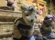 เที่ยวพิพิธภัณฑ์ตุ๊กตาหมี Teddy Bear Island พัทยาเหนือ ชลบุรี 