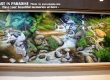 Art in paradise พิพิธภัณฑ์ภาพวาด 3 มิติ ศิลปะที่จับต้องได้ที่ พัทยา