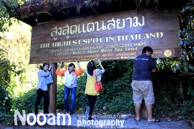 รีวิว เที่ยวดอยอินทนนท์ ชมจุดสูงสุดแดนสยาม สักการะพระมหาธาตุนภเมทนีดล พระมหาธาตุนภพลภูมิสิริ ชมน้ำตกวชิรธาร