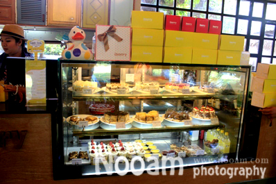 รีวิวร้านไอติม ร้านไอศครีม ไอเบอรี่ เชียงใหม่ (iberry Chiangmai)