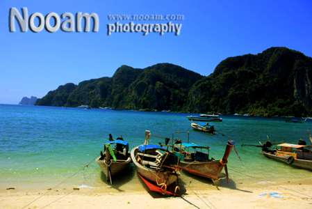 One Day Trip เกาะพีพี อ่าวมาหยา เกาะไข่ เกาะลิง ถ้ำไวกิ้ง ภูเก็ต