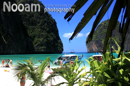 One Day Trip เกาะพีพี อ่าวมาหยา เกาะไข่ เกาะลิง ถ้ำไวกิ้ง ภูเก็ต