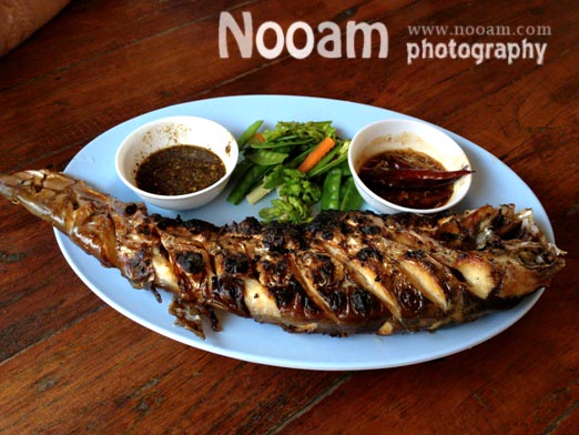 รีวิว ร้านต้นน้ำ ร้านอาหารริมน้ำ กุ้งเผาตัวใหญ่ อาหารอร่อย บางปะอิน อยุธยา