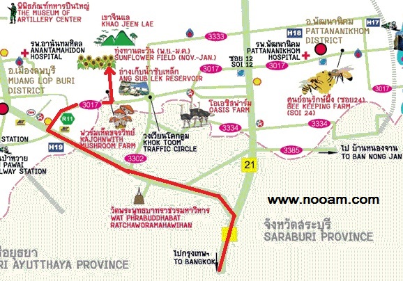 แผนที่ ทางไป ทุ่งทานตะวัน เขาจีนแล จังหวัดลพบุรี พร้อมวิธีการเดินทาง