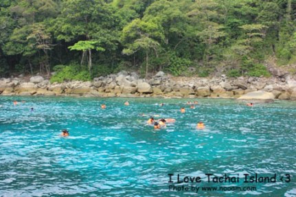 รีวิว พาเที่ยว เกาะตาชัย สวรรค์แดนใต้ หนึ่งในหมู่เกาะสิมิลัน จังหวัดภูเก็ต