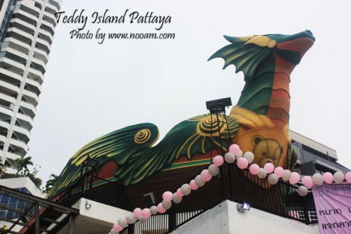 รีวิว Teddy Island พัทยาเหนือ ชมหมีเท็ดดี้แบร์