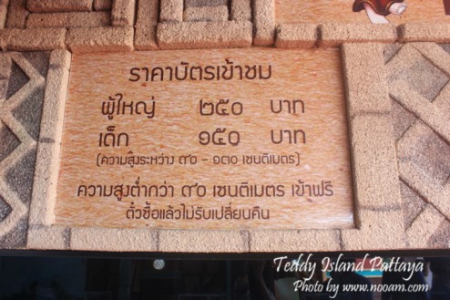 รีวิว Teddy Island พัทยาเหนือ ชมหมีเท็ดดี้แบร์