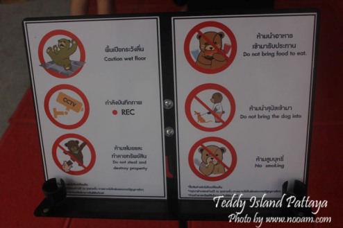 รีวิว Teddy Island พัทยาเหนือ ชมหมีเท็ดดี้แบร์