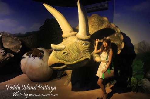 รีวิว Teddy Island พัทยาเหนือ ชมหมีเท็ดดี้แบร์