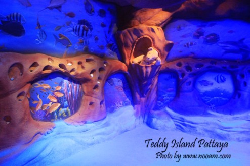 รีวิว Teddy Island พัทยาเหนือ ชมหมีเท็ดดี้แบร์