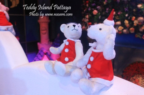 รีวิว Teddy Island พัทยาเหนือ ชมหมีเท็ดดี้แบร์