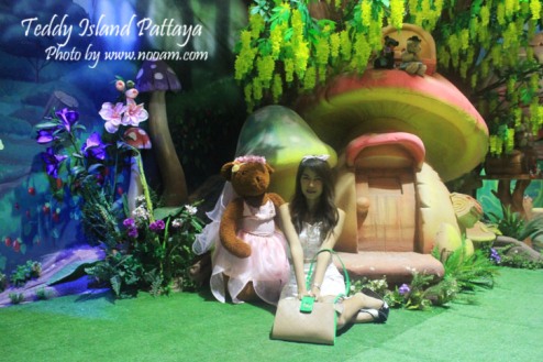 รีวิว Teddy Island พัทยาเหนือ ชมหมีเท็ดดี้แบร์