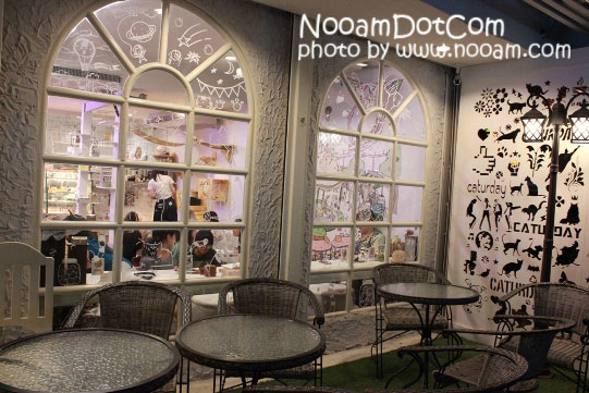 รีวิวร้าน Caturday cat cafe คาเฟ่แมวและเบเกอรี่เค้ก ติด BTS ราชเทวี