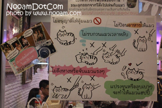 รีวิวร้าน Caturday cat cafe คาเฟ่แมวและเบเกอรี่เค้ก ติด BTS ราชเทวี