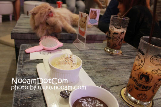 รีวิวร้าน Caturday cat cafe คาเฟ่แมวและเบเกอรี่เค้ก ติด BTS ราชเทวี