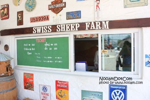 รีวิว swiss sheep farm ฟาร์มแกะและที่เที่ยวชะอำ ตรงข้ามกับซานโตรีนี่ พาร์คทางไปหัวหิน จังหวัดเพชรบุรี