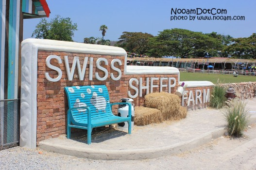 รีวิว swiss sheep farm ฟาร์มแกะและที่เที่ยวชะอำ ตรงข้ามกับซานโตรีนี่ พาร์คทางไปหัวหิน จังหวัดเพชรบุรี