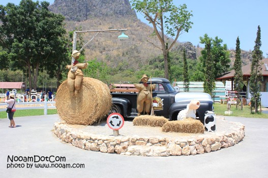 รีวิว swiss sheep farm ฟาร์มแกะและที่เที่ยวชะอำ ตรงข้ามกับซานโตรีนี่ พาร์คทางไปหัวหิน จังหวัดเพชรบุรี