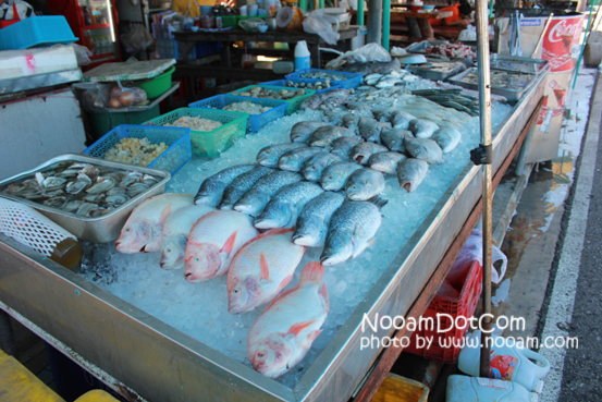รีวิวร้านอาหาร ครัวลุงหมึก ปลาหลอด ซีฟู๊ด (Seafood) ประจวบคีรีขันธ์