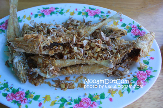 รีวิวร้านอาหาร ครัวลุงหมึก ปลาหลอด ซีฟู๊ด (Seafood) ประจวบคีรีขันธ์