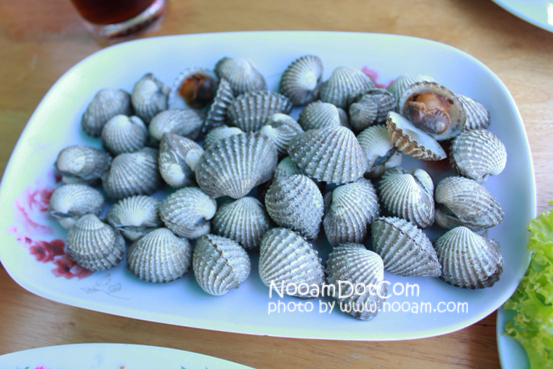 รีวิวร้านอาหาร ครัวลุงหมึก ปลาหลอด ซีฟู๊ด (Seafood) ประจวบคีรีขันธ์