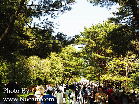 พาเที่ยว hitachi seaside park ชมทุ่งดอกเนโมฟีเลีย พร้อมวิธีการเดินทางแบบง่ายๆ ที่อิบารากิ ญี่ปุ่น