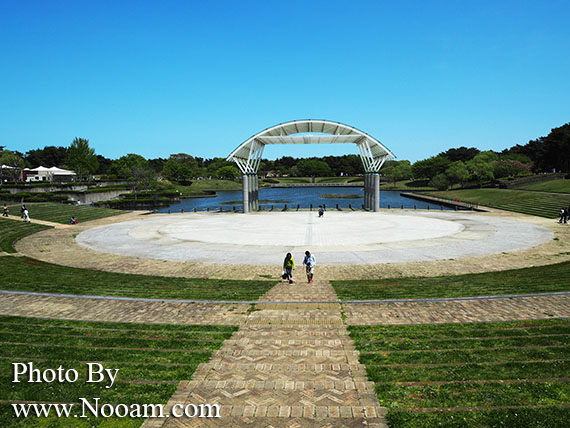 พาเที่ยว hitachi seaside park ชมทุ่งดอกเนโมฟีเลีย พร้อมวิธีการเดินทางแบบง่ายๆ ที่อิบารากิ ญี่ปุ่น