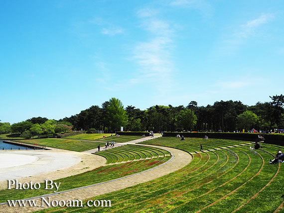 พาเที่ยว hitachi seaside park ชมทุ่งดอกเนโมฟีเลีย พร้อมวิธีการเดินทางแบบง่ายๆ ที่อิบารากิ ญี่ปุ่น