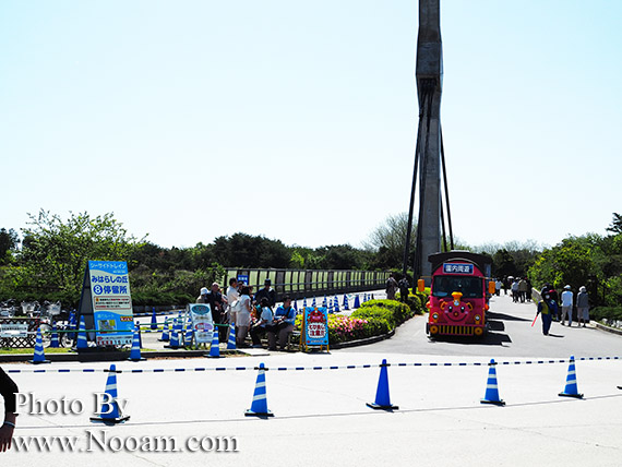 พาเที่ยว hitachi seaside park ชมทุ่งดอกเนโมฟีเลีย พร้อมวิธีการเดินทางแบบง่ายๆ ที่อิบารากิ ญี่ปุ่น