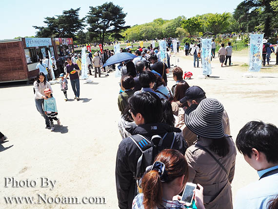 พาเที่ยว hitachi seaside park ชมทุ่งดอกเนโมฟีเลีย พร้อมวิธีการเดินทางแบบง่ายๆ ที่อิบารากิ ญี่ปุ่น