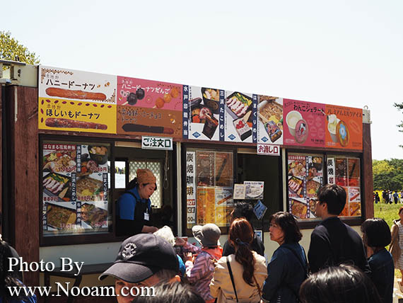 พาเที่ยว hitachi seaside park ชมทุ่งดอกเนโมฟีเลีย พร้อมวิธีการเดินทางแบบง่ายๆ ที่อิบารากิ ญี่ปุ่น