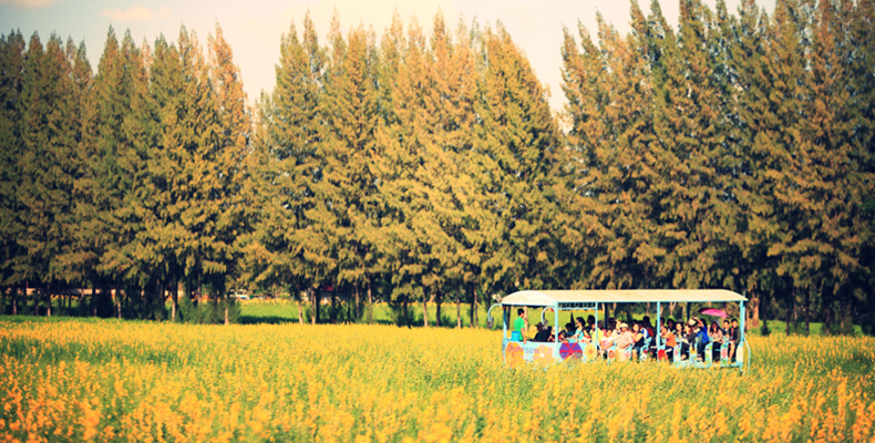 พาเที่ยว จิมทอมสัน ฟาร์ม 2557 (Jim Thomson Farm) วังน้ำเขียว ปักธงชัย นครราชสีมา