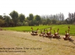 พาเที่ยว จิมทอมสัน ฟาร์ม 2557 (Jim Thompson Farm) สวนดอกไม้สวยๆ ปักธงชัย นครราชสีมา 