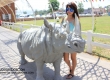 Swiss Sheep Farm ฟาร์มแกะ หัวหิน ชะอำ