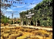 พาเที่ยว จิมทอมสัน ฟาร์ม 2557 (Jim Thompson Farm) สวนดอกไม้สวยๆ ปักธงชัย นครราชสีมา 