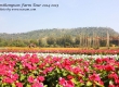 พาเที่ยว จิมทอมสัน ฟาร์ม 2557 (Jim Thompson Farm) สวนดอกไม้สวยๆ ปักธงชัย นครราชสีมา 