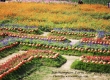 พาเที่ยว จิมทอมสัน ฟาร์ม 2557 (Jim Thompson Farm) สวนดอกไม้สวยๆ ปักธงชัย นครราชสีมา 
