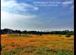 พาเที่ยว จิมทอมสัน ฟาร์ม 2557 (Jim Thompson Farm) สวนดอกไม้สวยๆ ปักธงชัย นครราชสีมา 