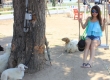 Swiss Sheep Farm ฟาร์มแกะ หัวหิน ชะอำ