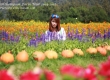 พาเที่ยว จิมทอมสัน ฟาร์ม 2557 (Jim Thompson Farm) สวนดอกไม้สวยๆ ปักธงชัย นครราชสีมา 