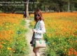 พาเที่ยว จิมทอมสัน ฟาร์ม 2557 (Jim Thompson Farm) สวนดอกไม้สวยๆ ปักธงชัย นครราชสีมา 