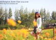 พาเที่ยว จิมทอมสัน ฟาร์ม 2557 (Jim Thompson Farm) สวนดอกไม้สวยๆ ปักธงชัย นครราชสีมา 