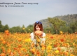 พาเที่ยว จิมทอมสัน ฟาร์ม 2557 (Jim Thompson Farm) สวนดอกไม้สวยๆ ปักธงชัย นครราชสีมา 