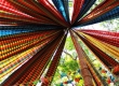 พาเที่ยว จิมทอมสัน ฟาร์ม 2557 (Jim Thompson Farm) สวนดอกไม้สวยๆ ปักธงชัย นครราชสีมา 
