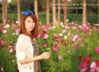 ดอกคอสมอส พาเที่ยว จิมทอมสัน ฟาร์ม 2557 (Jim Thompson Farm) สวนดอกไม้สวยๆ ปักธงชัย นครราชสีมา 