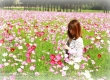 พาเที่ยว จิมทอมสัน ฟาร์ม 2557 (Jim Thompson Farm) สวนดอกไม้สวยๆ ปักธงชัย นครราชสีมา 